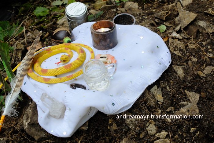 ritualmitte-plazenta-pflanzung